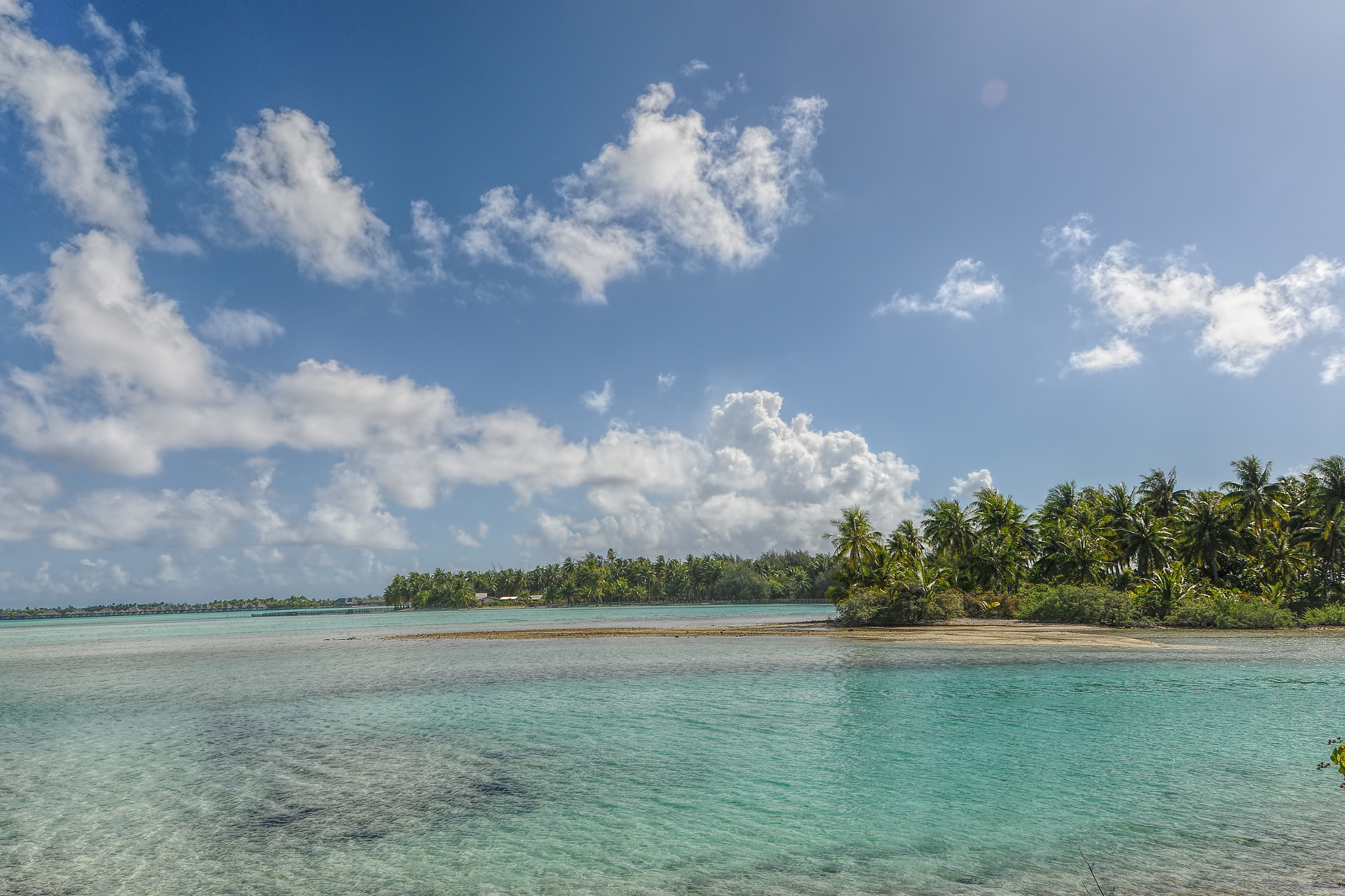 motu ceran, society islands (3).webp